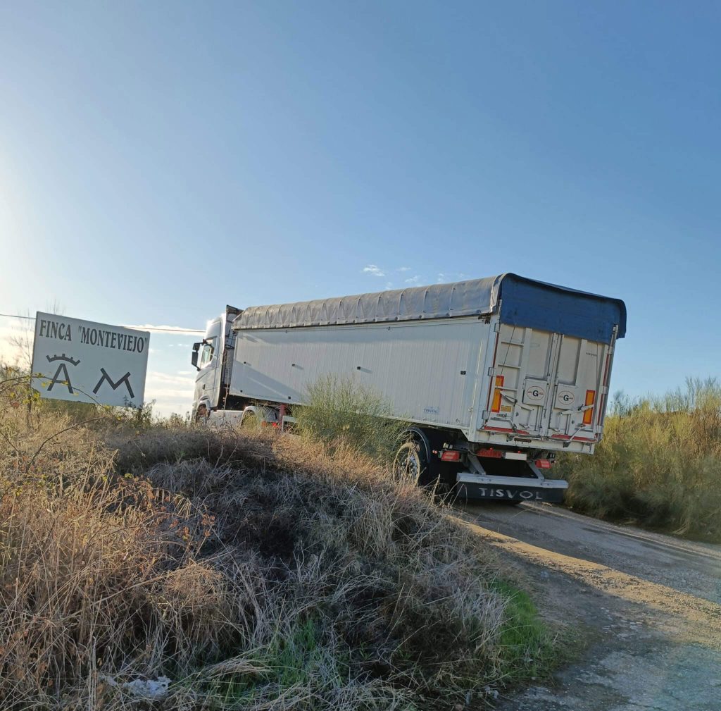 Transportes Guillermo Gonzalez Alonso foto 02